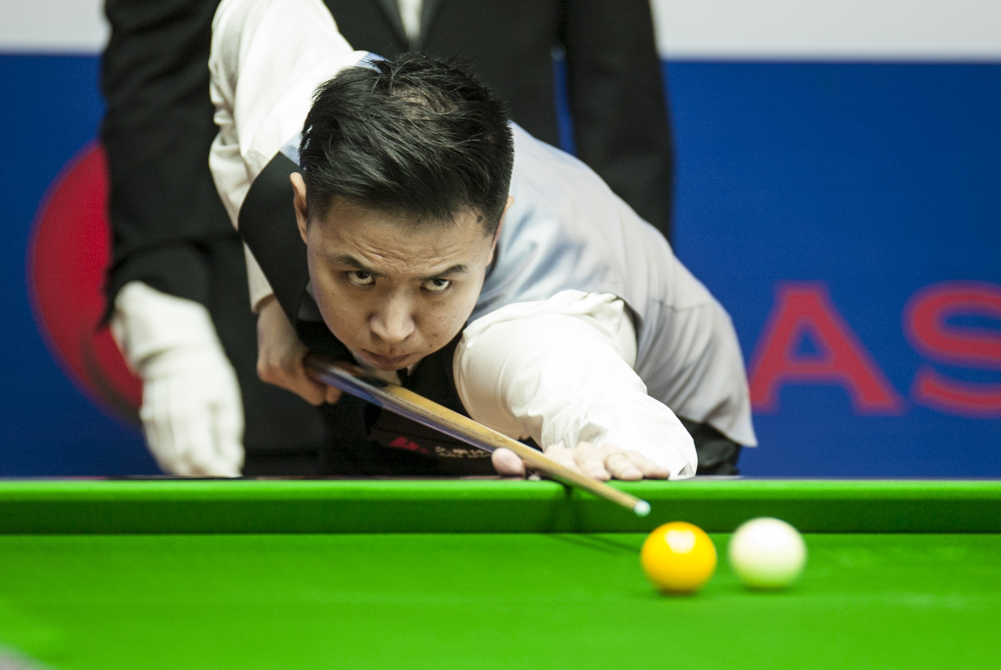 它提供了一 它提供了一